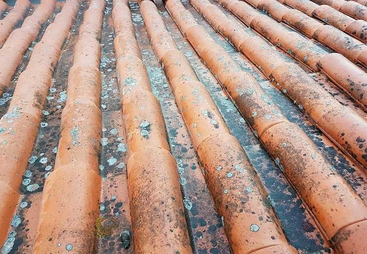 Impermeabilização Profissional -Telhados e Coberturas –  Margem Sul -