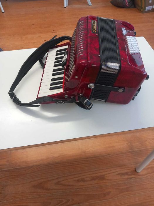 ACORDEÃO SONANTTI (com pouco uso)