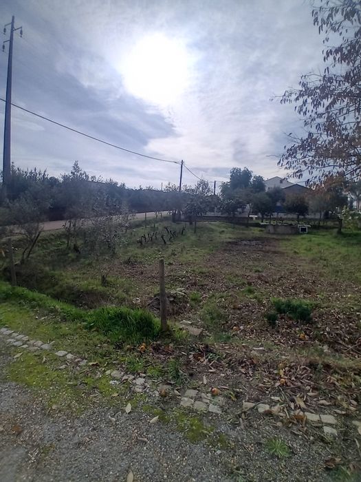 Grande Oportunidade no Alentejo - Ideal para Habitação ou Investimento