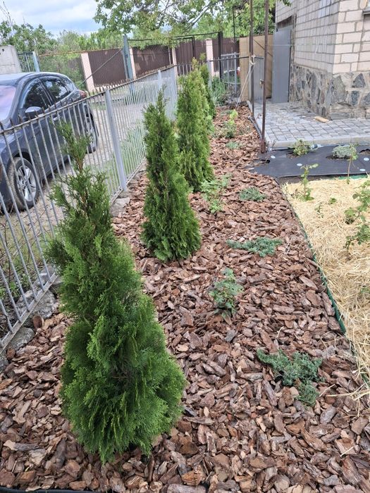 Ландшафтний дизайнер