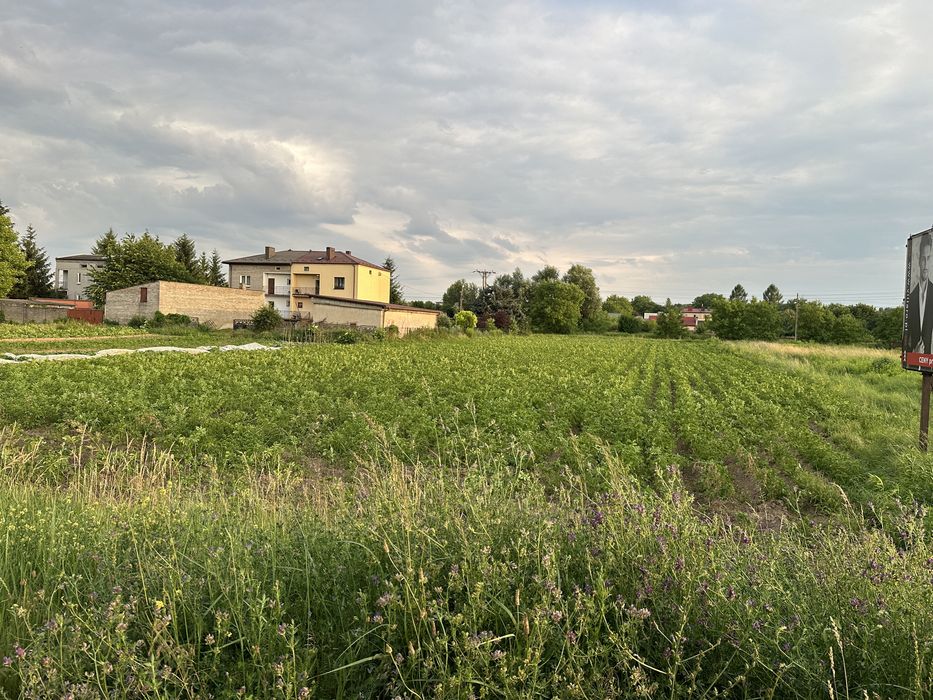 Działka Rolno-Budowlana przy ul. Zagloby