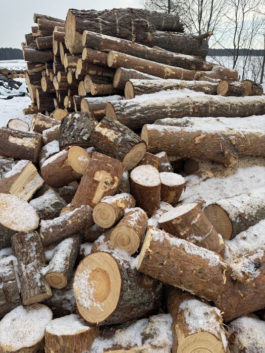 Sosna/świerk opał rąbany