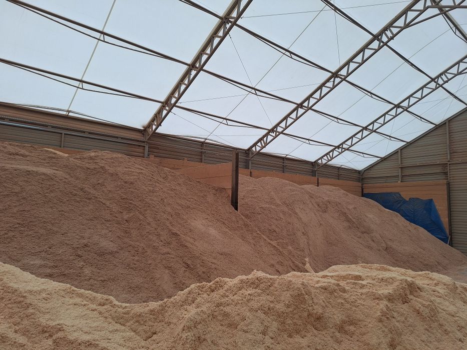 Skup trocin czystych,klocków zrzyn suchych