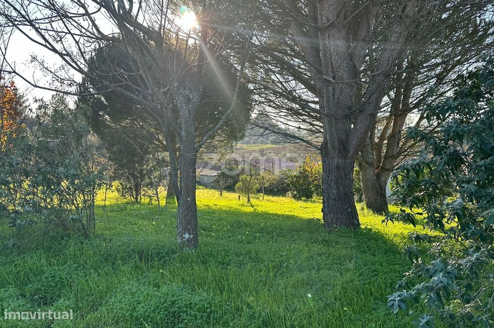 Terreno Urbano em Aguim com 2650m2