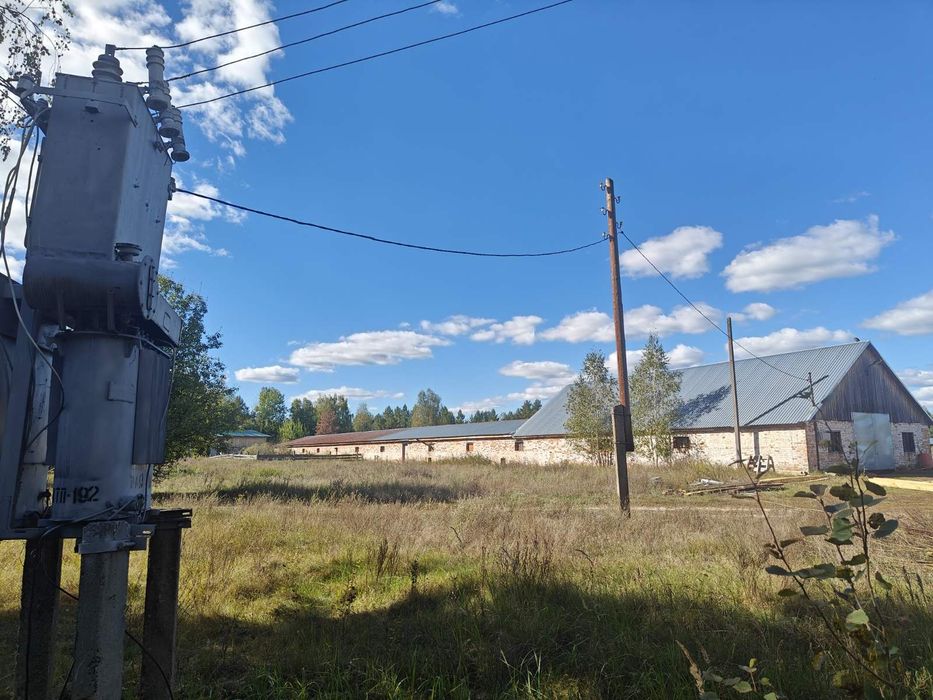 Продаж приміщення С/Г призначення, Ангар, Пилорама