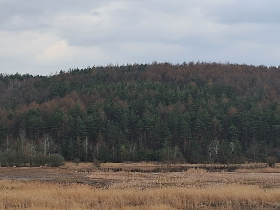 Земельна ділянка під забудову