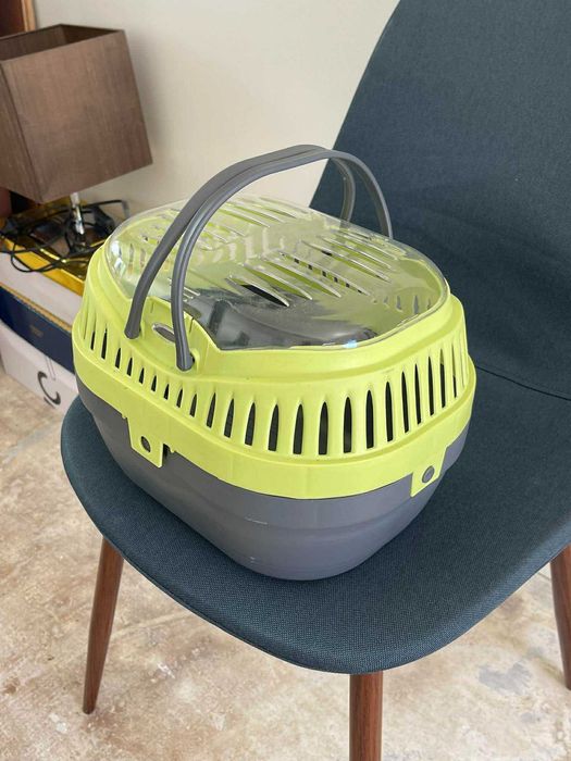 Cesto para transportar coelhos e gatinhos