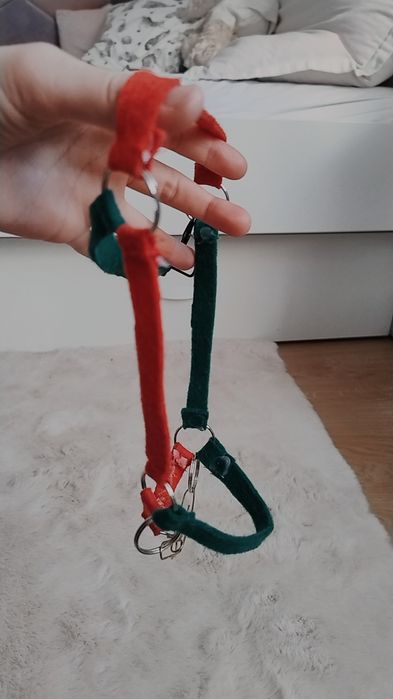 Zestaw dla hobby horse