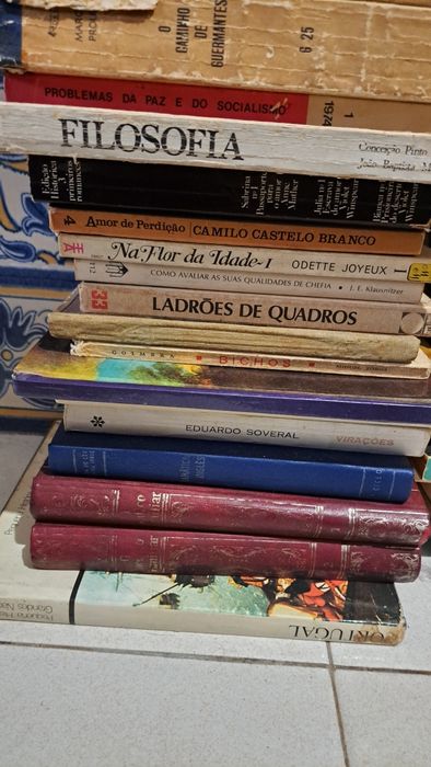 Diversos livros de vários estilos 1 euro cada
