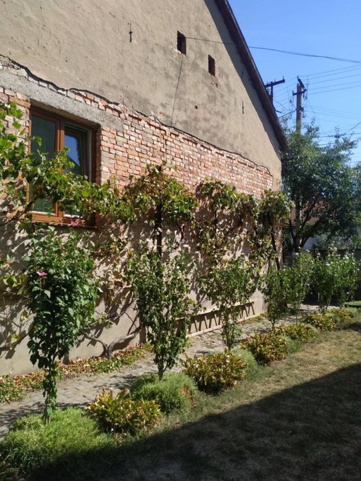 Продаж будинку в Хусті