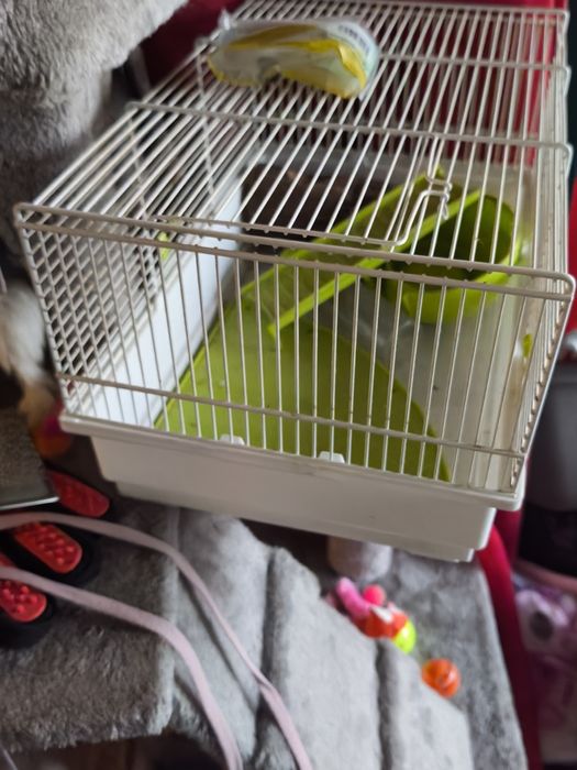 Gaiola branca com alguns acessórios