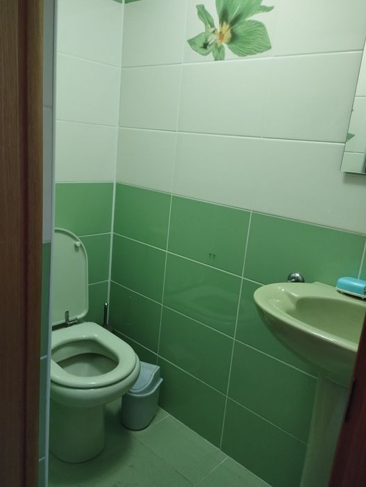 Продам дом Закарпатье Мужиево