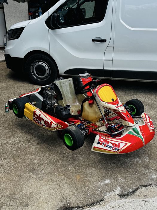 Kart Birel 125CC - IAME X30 + Alfano + Muitos Extras