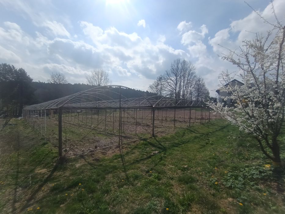 Tunel ogrodnicz, szklarnia