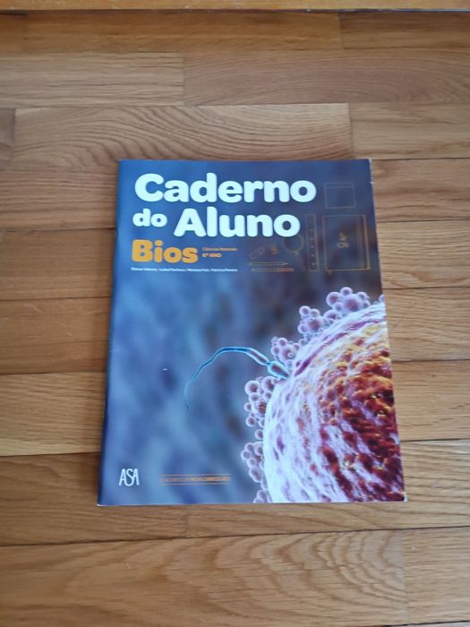 Livros de fichas/ atividades e manuais 6º ano