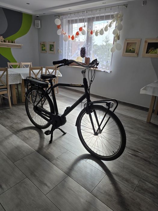 Elektryczy rower Gazelle Heavy Duty