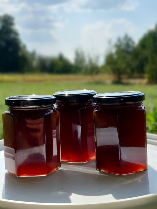 Мед гречка + ліс