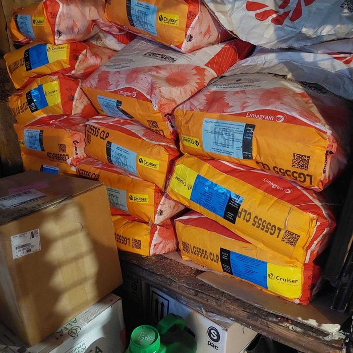 Насіння соняшника Сингента syngenta, Лімагрейн limagrain, Сузуку,