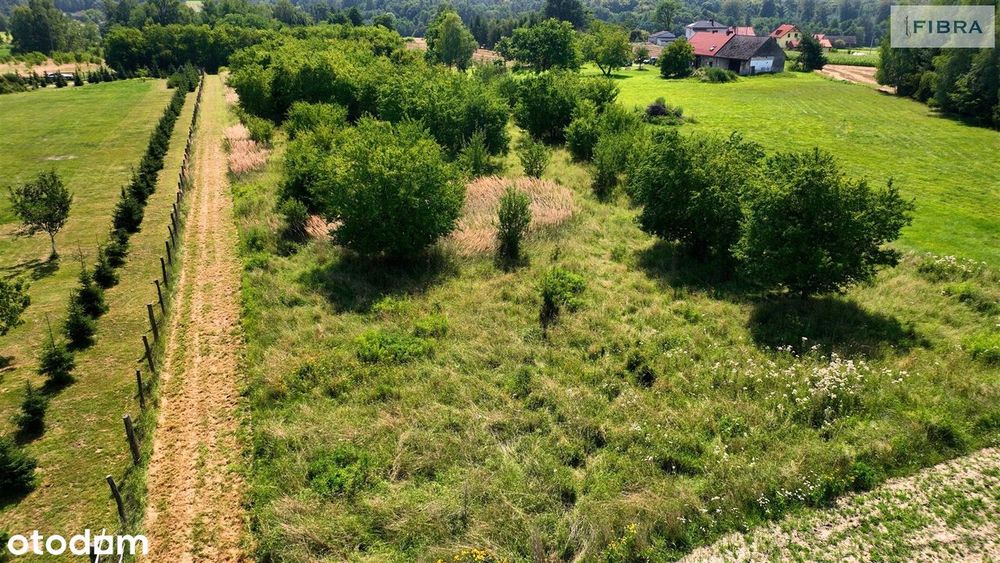 Prowadzisz działalność rolniczą w Gminie Lyski? - More