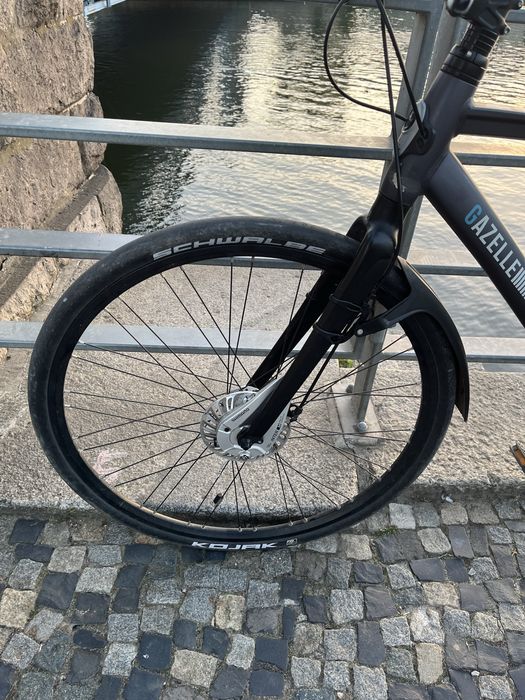 Gazelle Cityzen S9