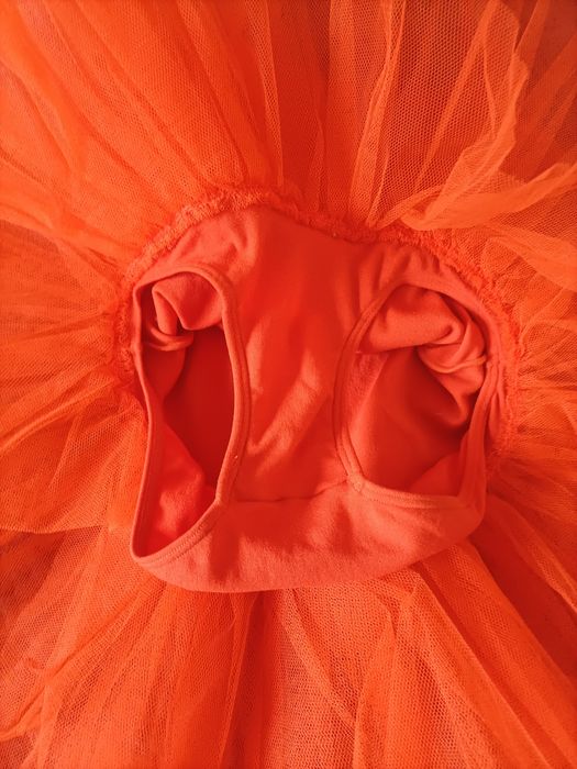 Fato com tule 5/6 anos