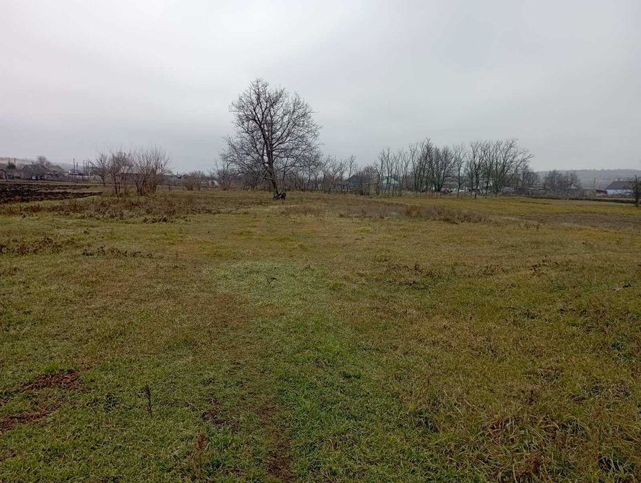 Продам ділянку з домом в одеській області