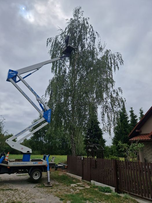 Wycinka drzew, uslugi rębakiem, wycinka tui , frezowanie pni, koszenie