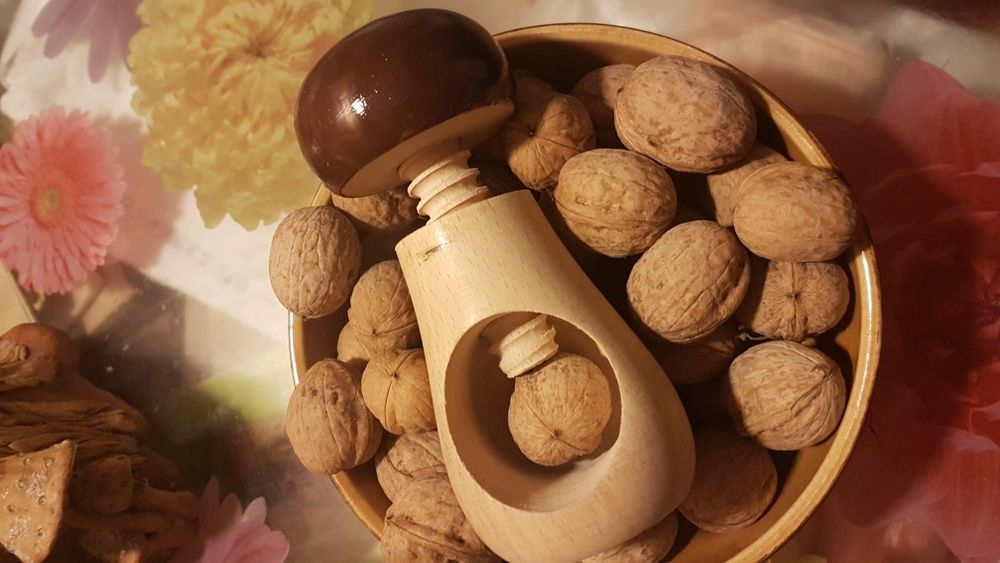 Орехокол,,Гриб,,