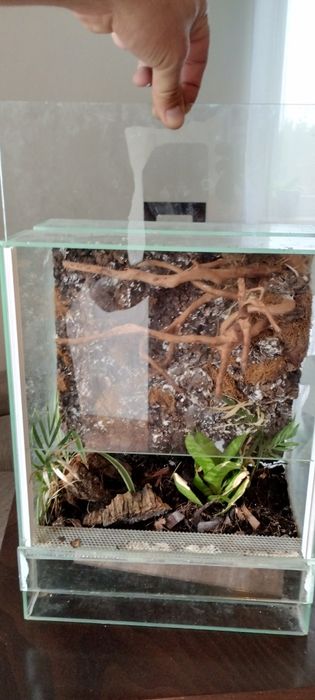 Terrarium dla gada