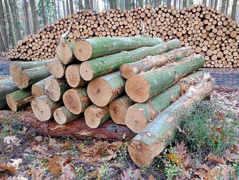 Drewno opałowe Sezonowane,Liściaste TWARDE buk-brzoza Transport GRATIS