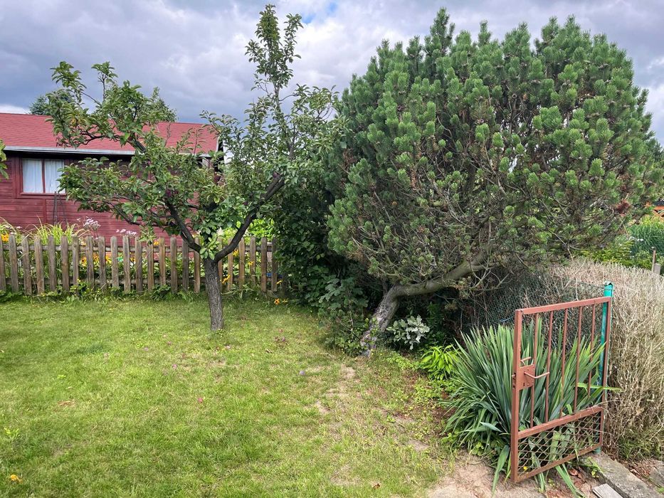 Działka ogrodnicza ROD Kotwica - Babie Doły, Gdynia