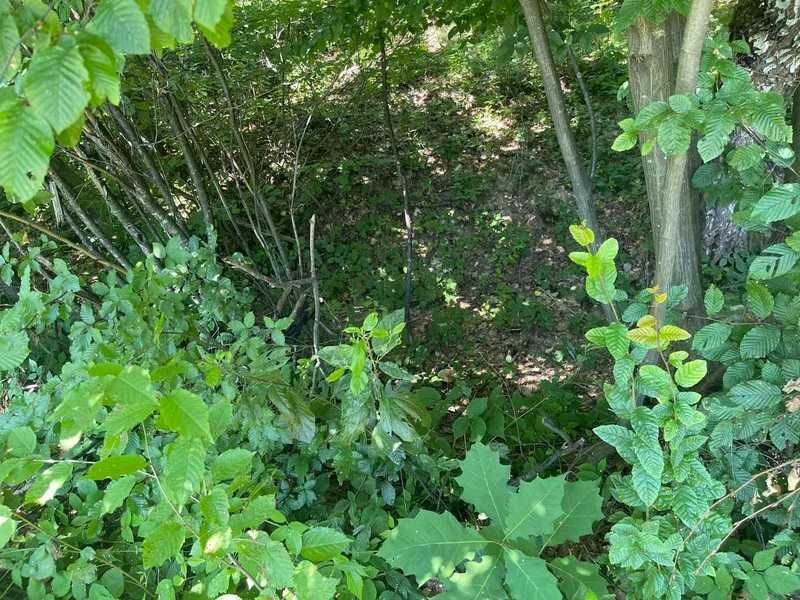Земельна ділянка Закарпатська обл., Тячівський р., с. Красна	КН 2124483201:03:001:0005