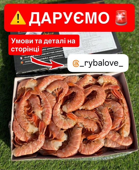 Зріз Лосося, Круасани з Лосося, Тримінг, Слайси, Форель, Ікра