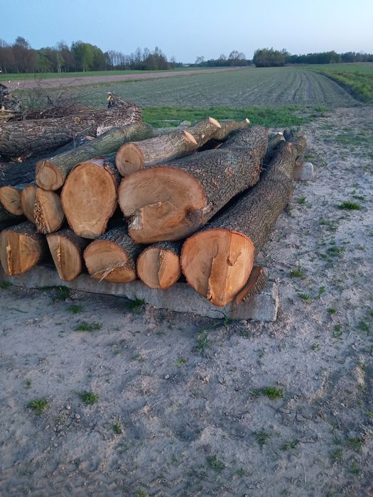 Dąb tartaczny różne kawałki