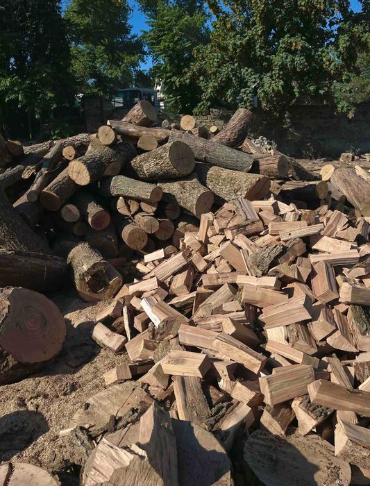 Дрова дубові колоті, кругляк, метровки – під замовлення, доставка