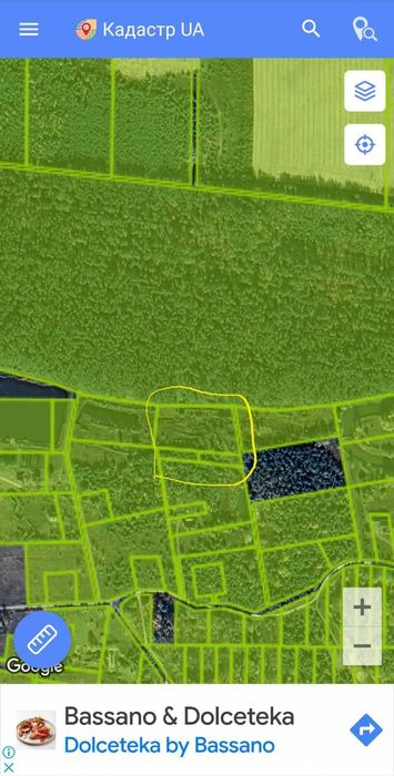 125 соток з соснами, власна водойма, прямий вихід до лісу Мотижин