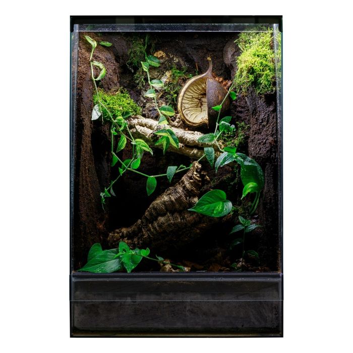 Terrarium tropikalne 40x40x60 gekon