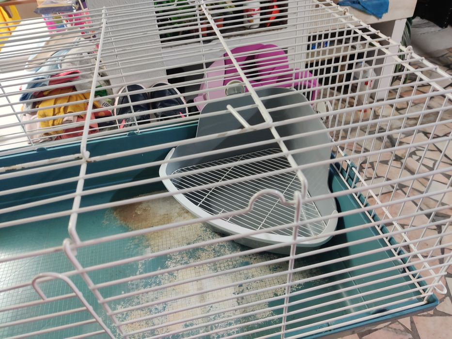 Gaiola grande roedores