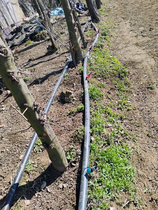 Podlewanie kropelkowe używane