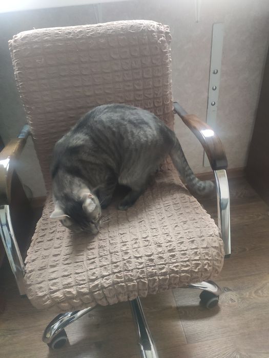 Крісло  комп'ютерне