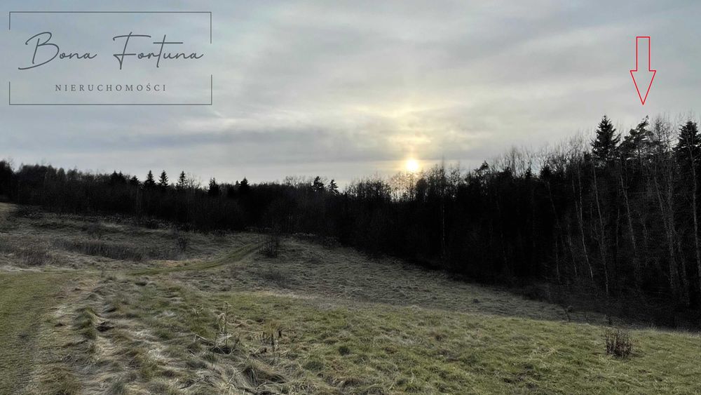 Działka leśna w Przysiekach LAS pow. 1,0520 ha gmina Skołyszyn