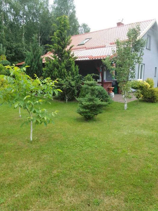 Domki do wynajęcia na wczasy, urlop