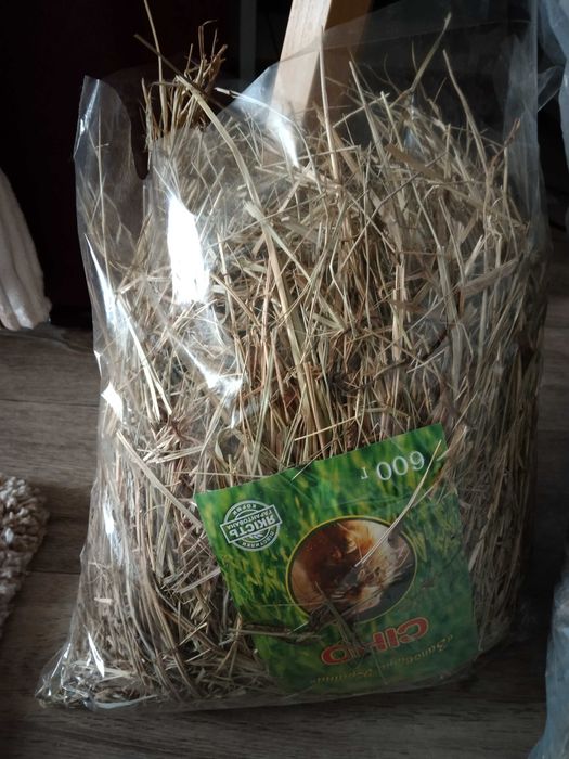 Сіно для гризунів