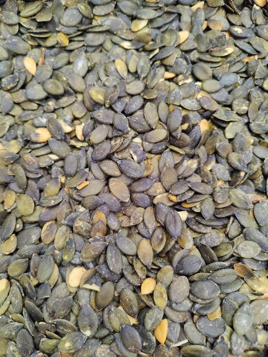 Продається  насіння соняшнику і  гарбуза