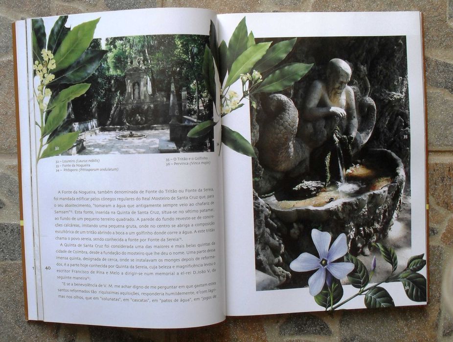 Fontes e Chafarizes de Coimbra