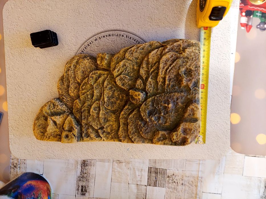 Wyspa pływająca dla żółwia Exo Terra średnia