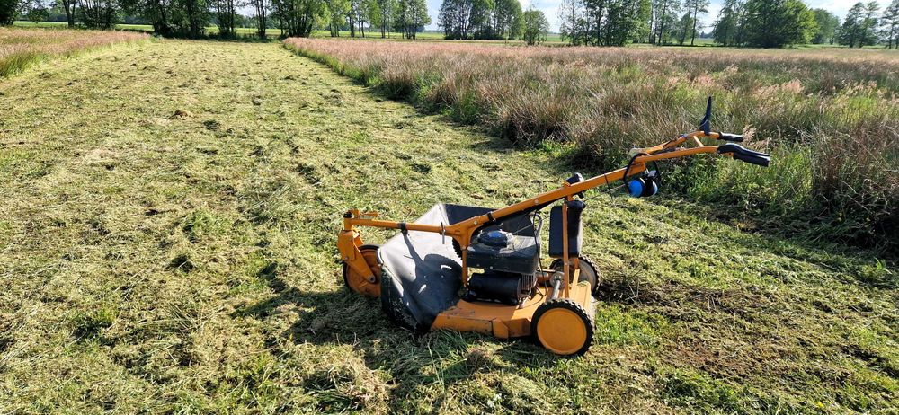 Koszenie traw , farm fotovoltaicznych
