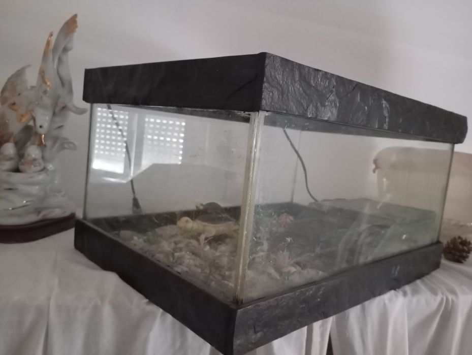 Aquário/ Aquaterrário / tartarugueira em vidro