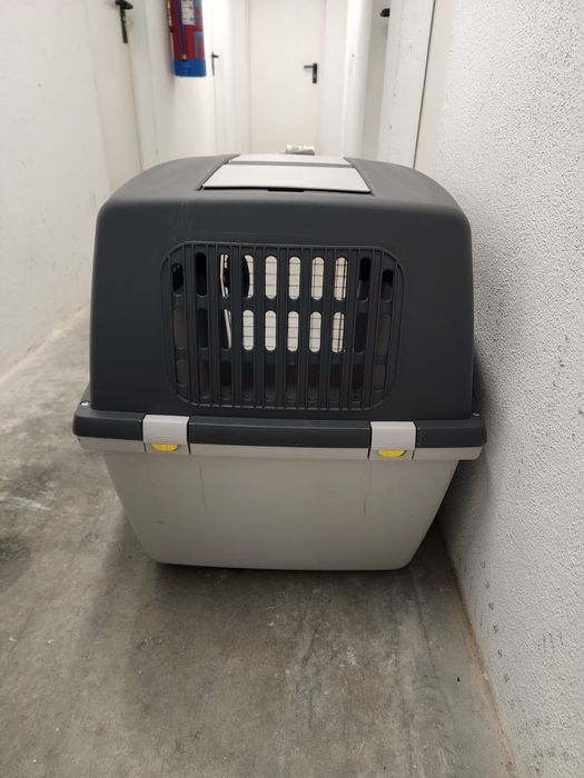 Caixa transporte cao