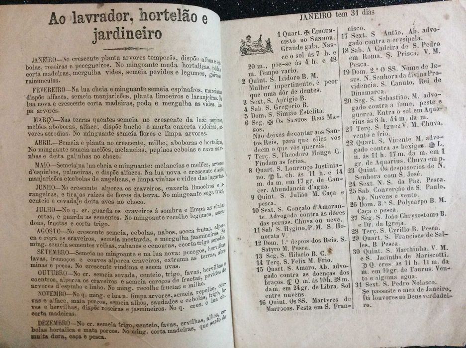O Novo Amigo da Verdade ou o Almanach...para 1879. Único